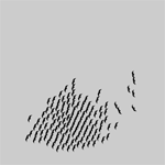 Flocking birds Flocking birds