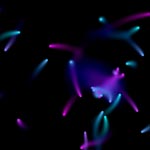 Mutual gravity Mutual gravity