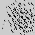 Flocking birds Flocking birds